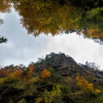Autumn colors in the creek