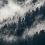 Foggy austria