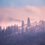 Foggy autumn landscape